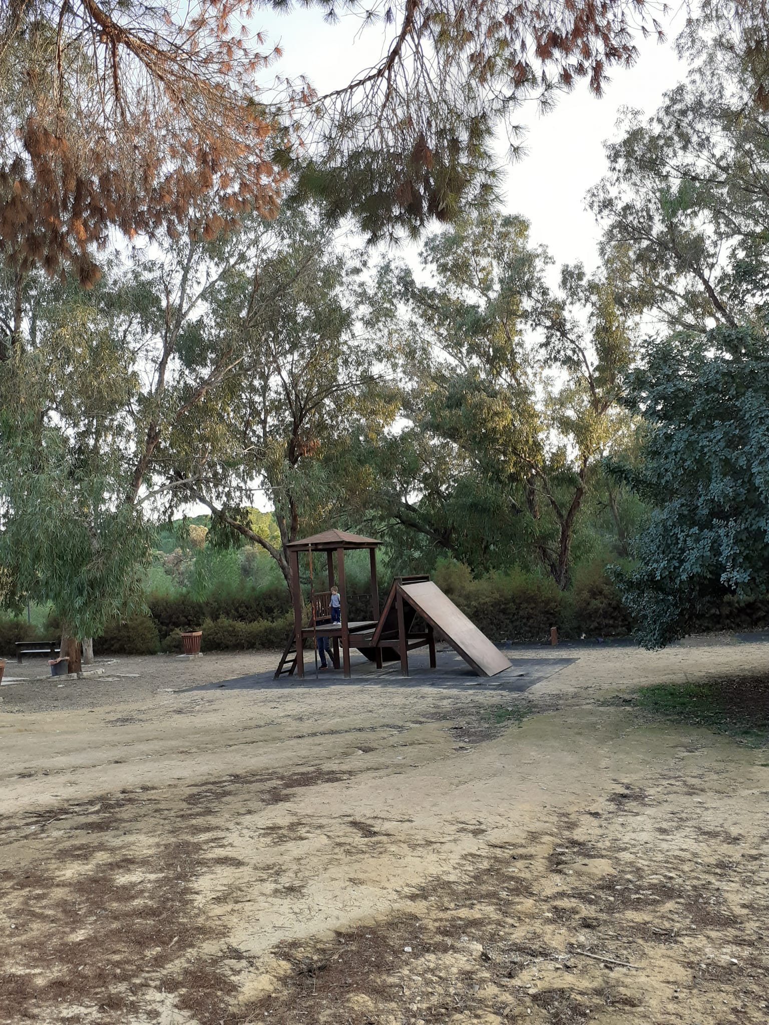 The Child at the Park